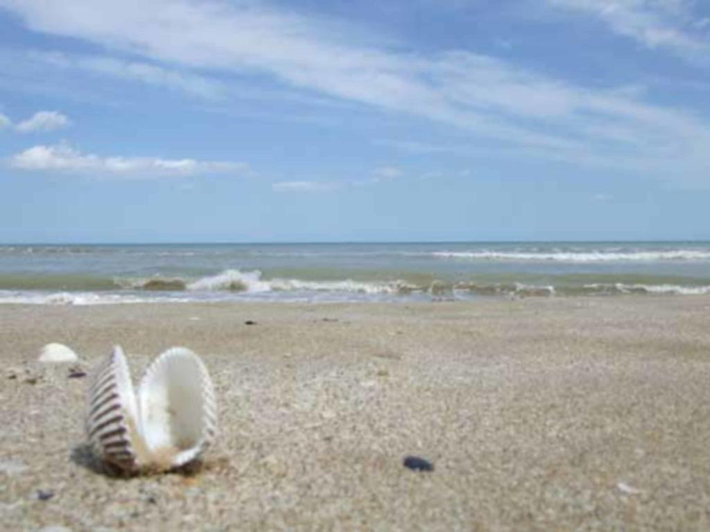 Hr Vapore Gatteo Mare Gatteo a Mare Luaran gambar